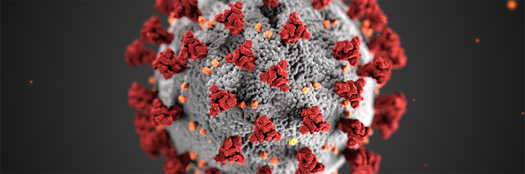 microscopic image of the covid-19 virus
